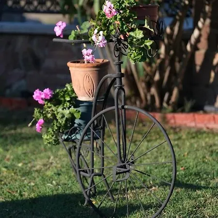 Oda ve Kahvaltı 3 Oda Cunda Butik Otel Ayvalı